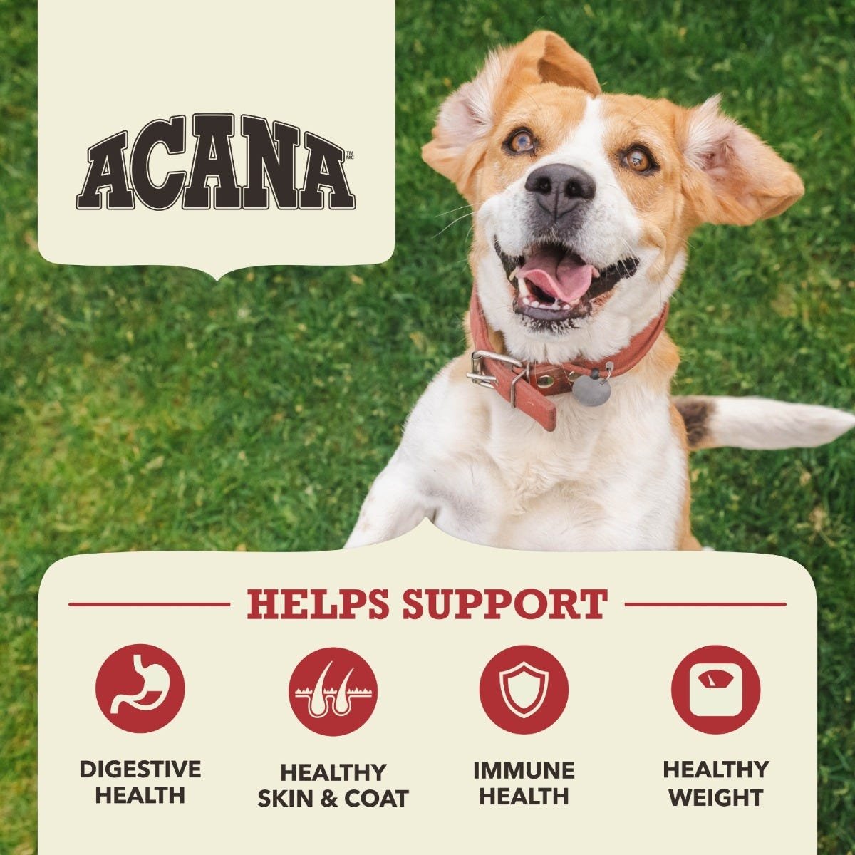 Acana Grain-Free Dry Dog Food - Red Meat Recipe - Image 3