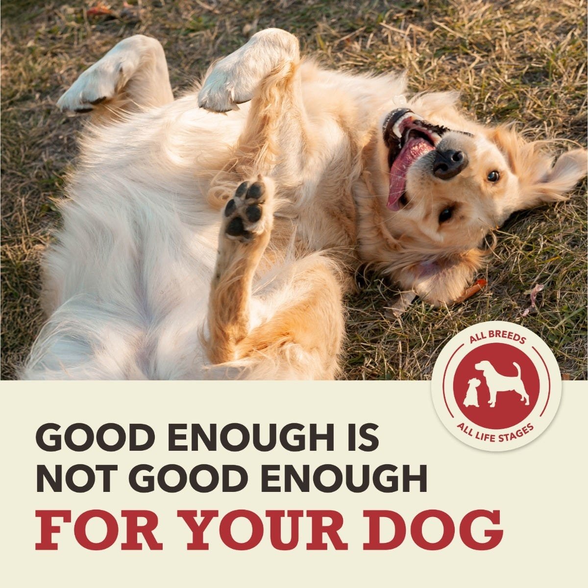 Acana Grain-Free Dry Dog Food - Red Meat Recipe - Image 5