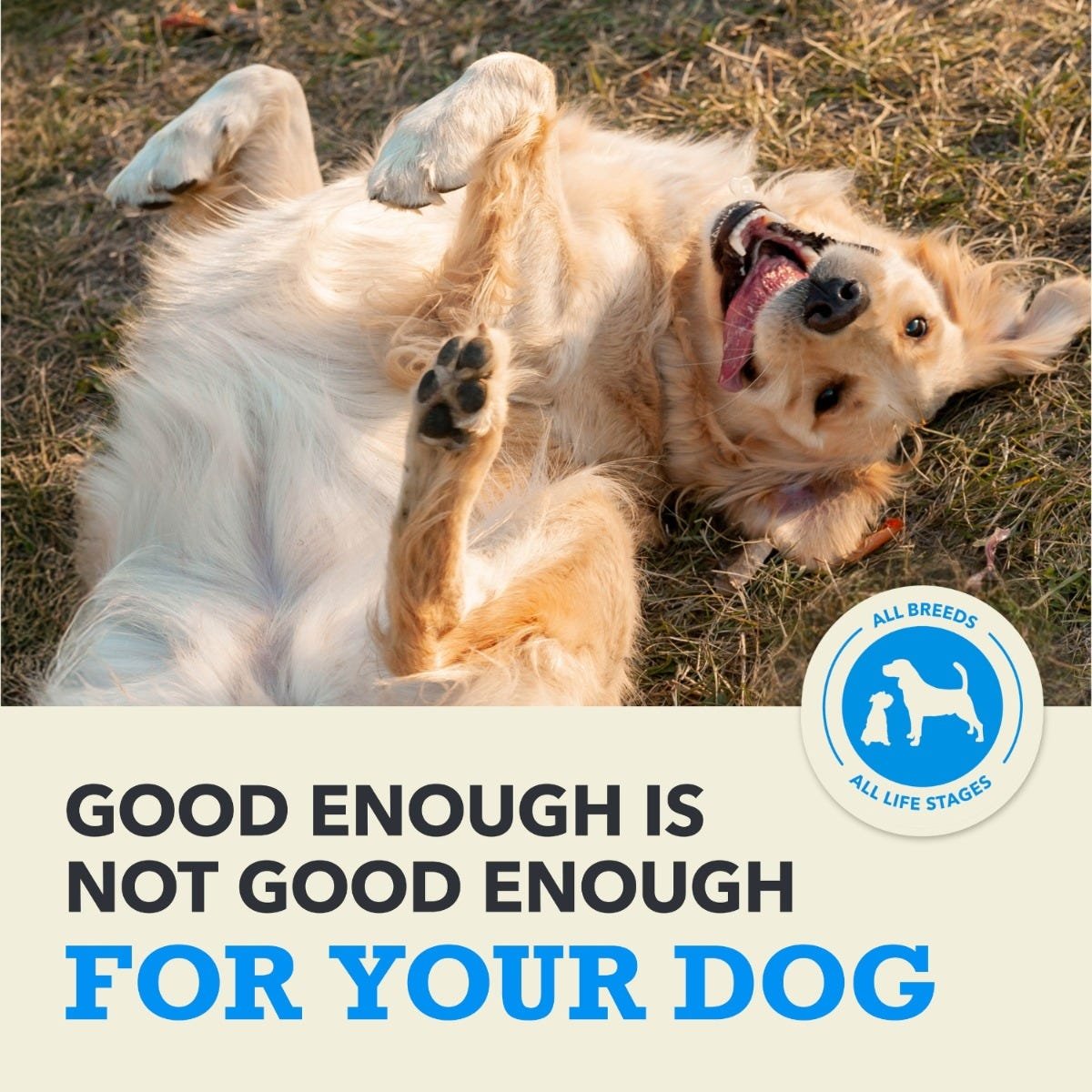 Acana Grain-Free Dry Dog Food - Adult Recipe - Image 3
