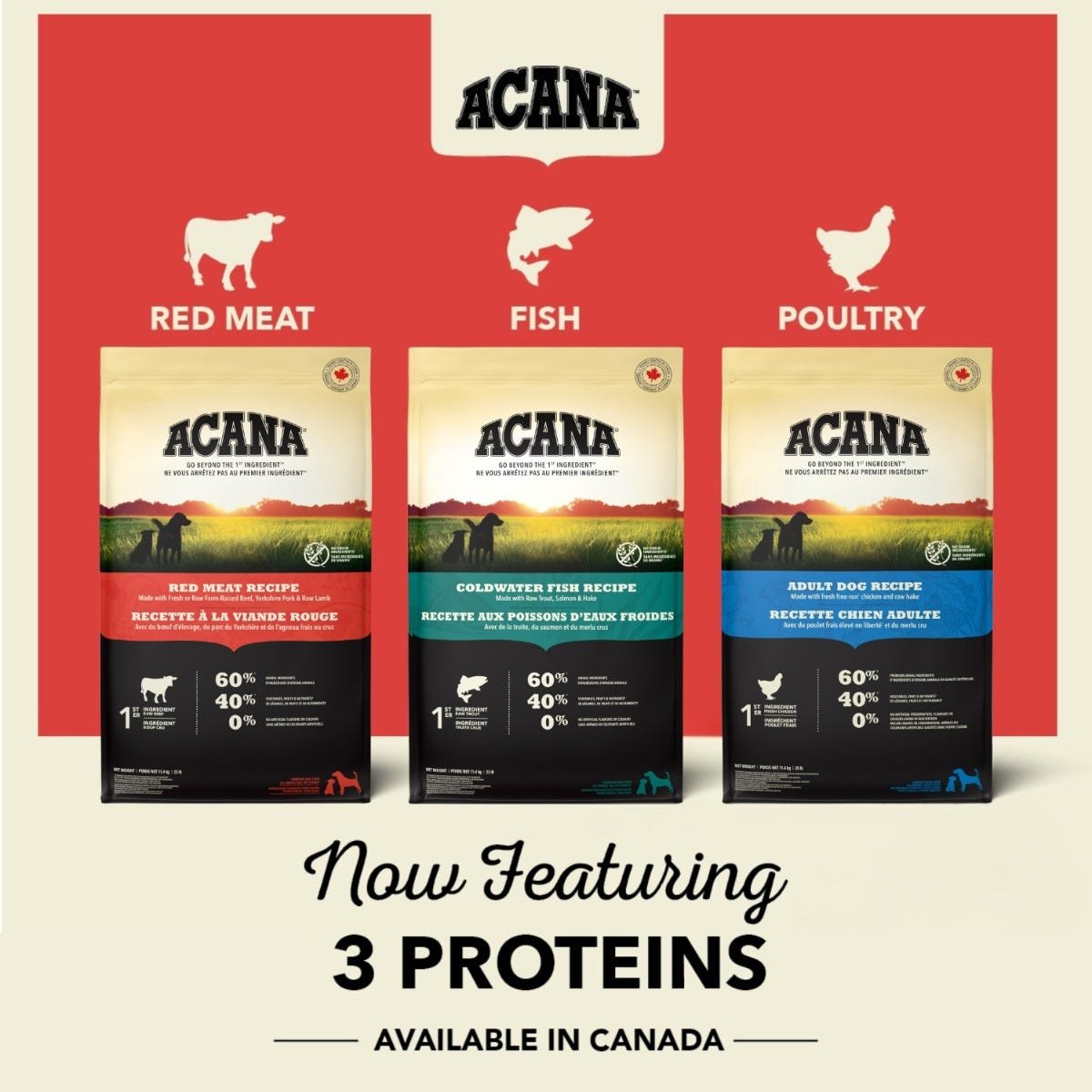 Acana Grain-Free Dry Dog Food - Adult Recipe - Image 4