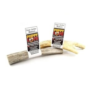 Puppy Love Canadian Deer Antler