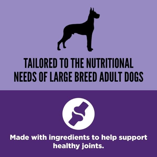 Orijen Large Breed Adult Dog Food - Image 2