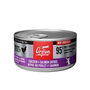 Orijen Premium Pâté Wet Kitten Food - Chicken & Salmon Entrée