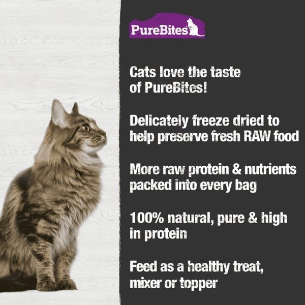 PureBites Freeze Dried Ocean Whitefish Cat Treat - Image 5