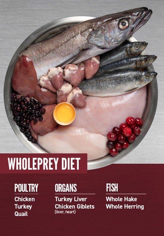 Orijen Small Breed Dog Food - Image 4